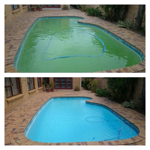 Pool party rescue!